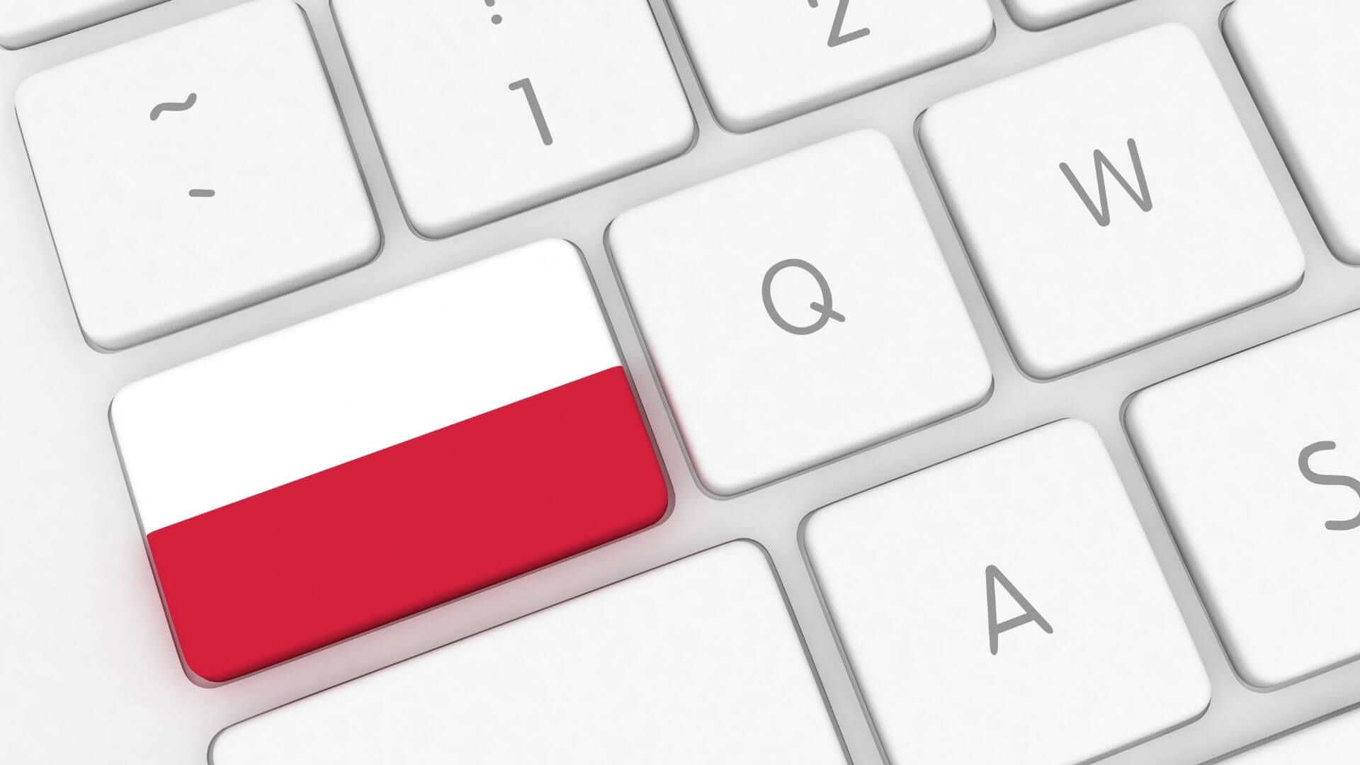intensywny roczny kurs języka polskiego i kultury polskiej